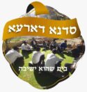 סדנא דארעא